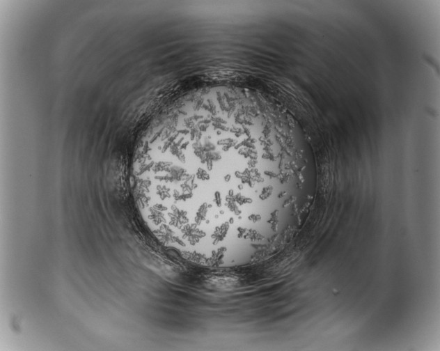 X0000099930653200806131403