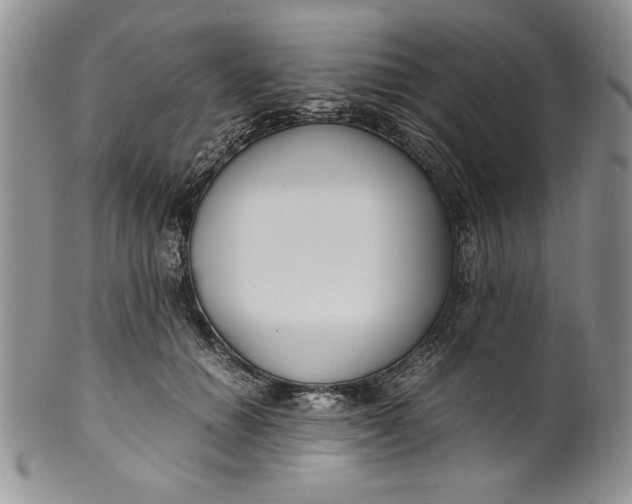 X0000099930654200806131403