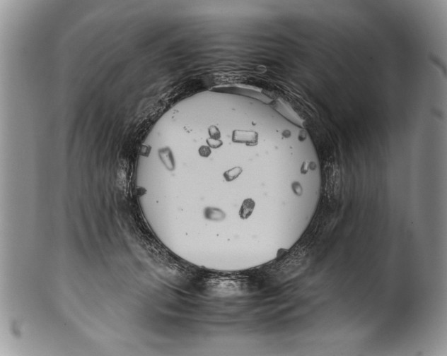 X0000099930655200806131404