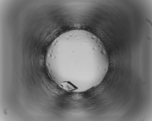 X0000099930656200806131404