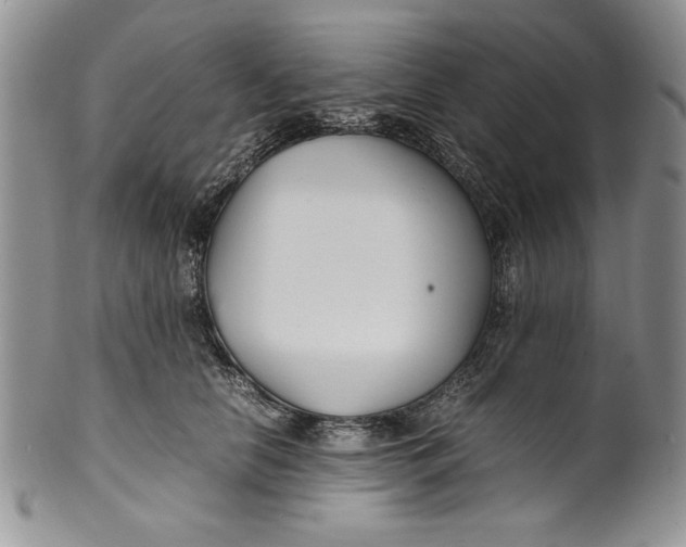 X0000099930658200806131404