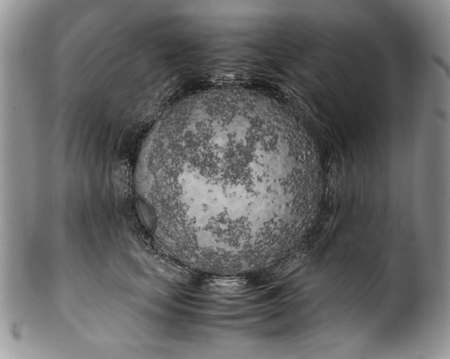 X0000099930659200806131404