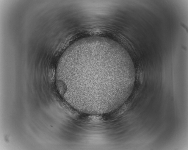 X0000099930660200806131404