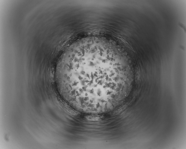 X0000099930661200806131404