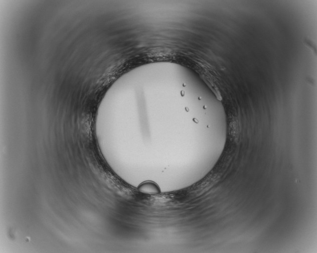 X0000099930662200806131404