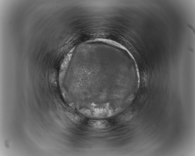 X0000099930663200806131404