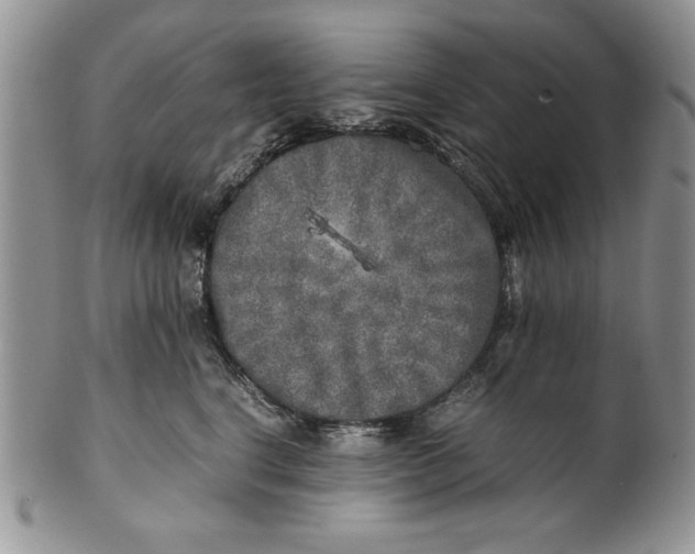 X0000099930664200806131404