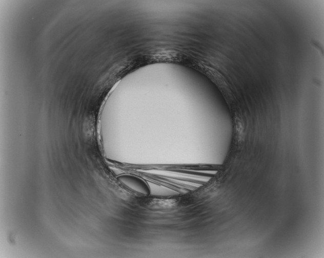 X0000099930665200806131404