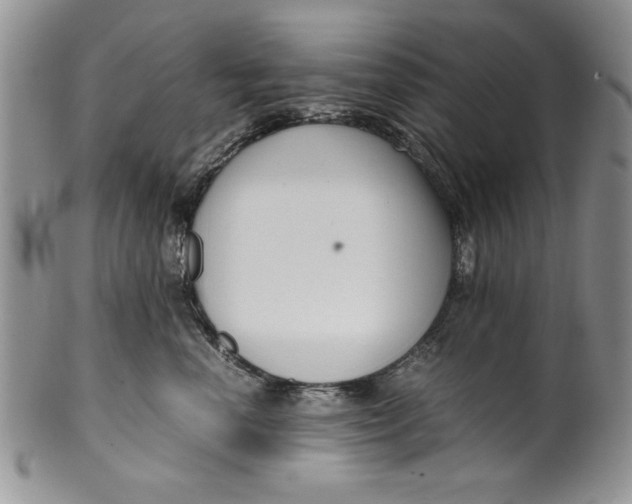 X0000099930666200806131404