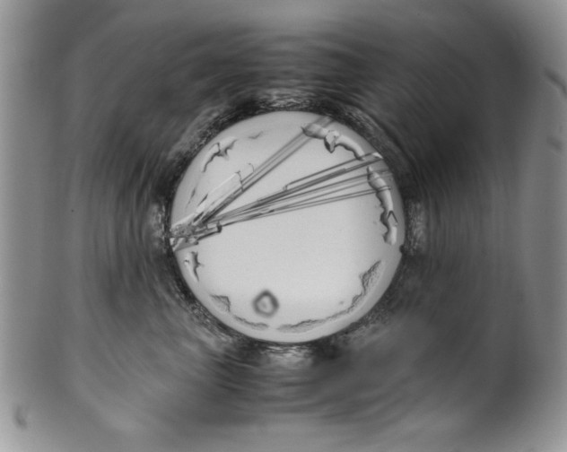 X0000099930667200806131404