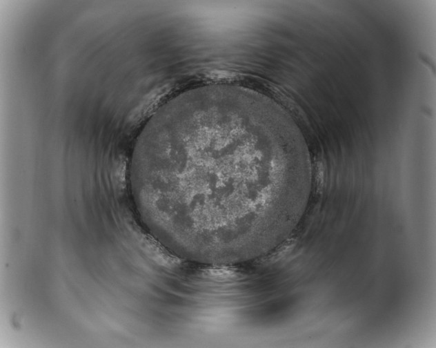 X0000099930668200806131404