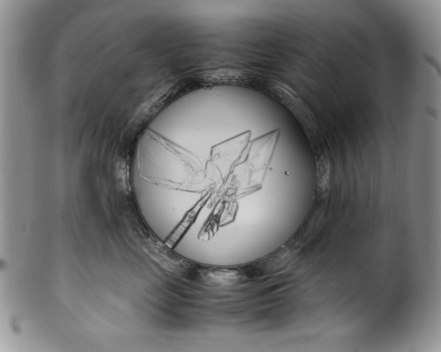 X0000099930669200806131404