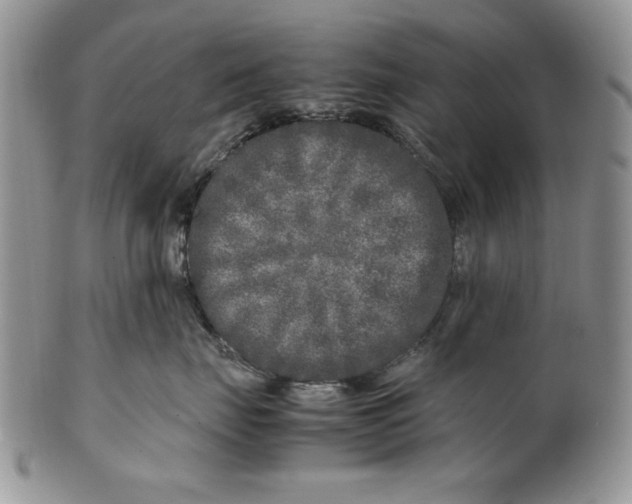 X0000099930671200806131404