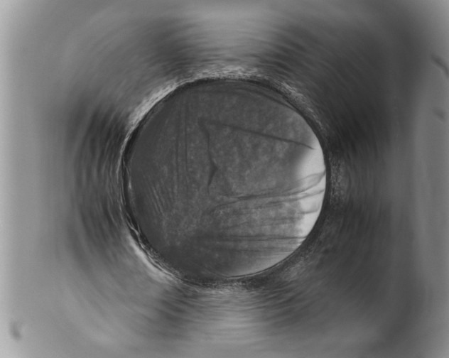 X0000099930674200806131403