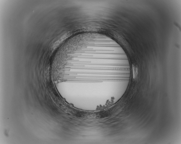 X0000099930675200806131403