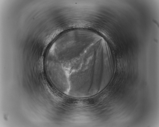 X0000099930678200806131403