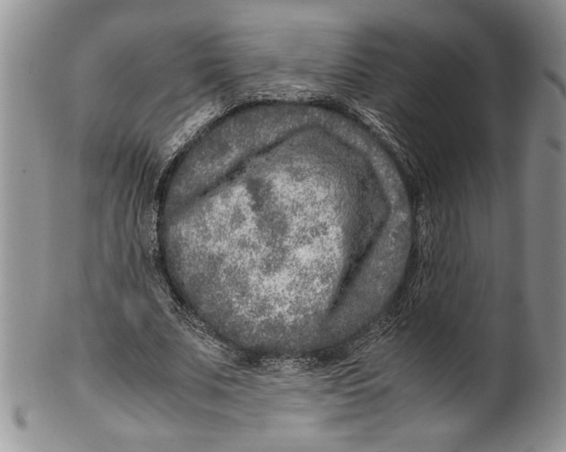 X0000099930679200806131403