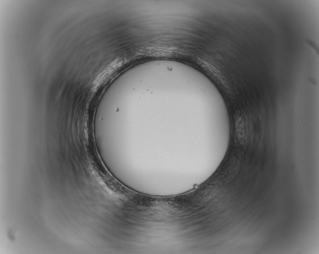 X0000099930682200806131403