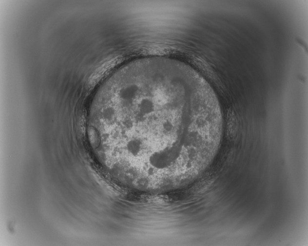 X0000099930683200806131403