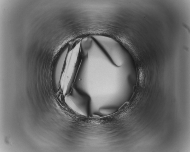 X0000099930684200806131403