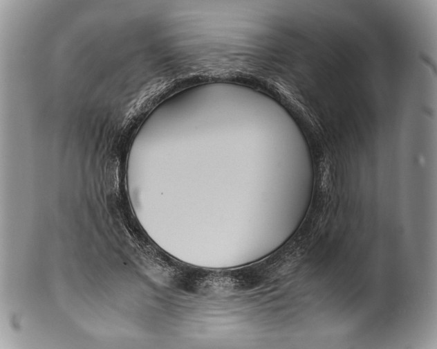 X0000099930685200806131403