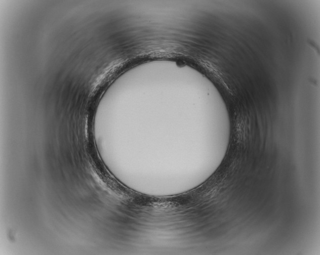 X0000099930686200806131403