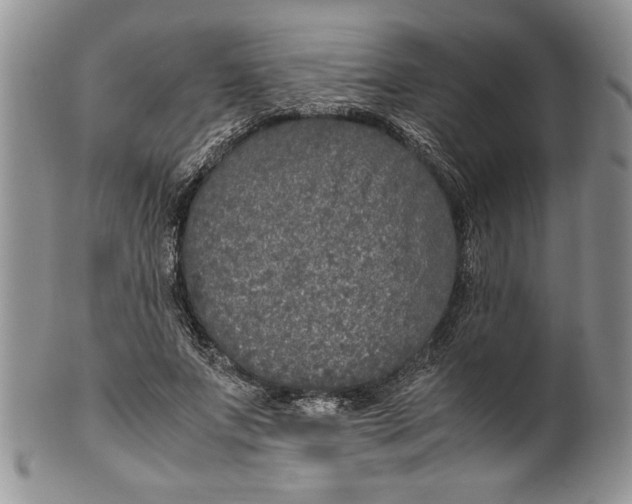 X0000099930687200806131403