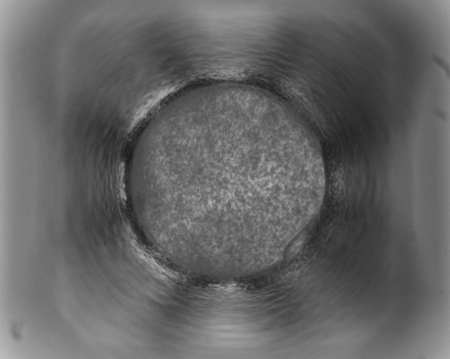 X0000099930688200806131403