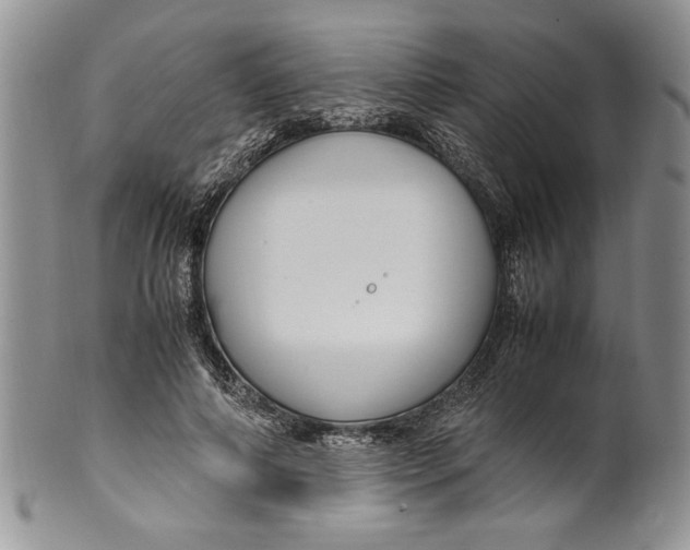 X0000099930690200806131403