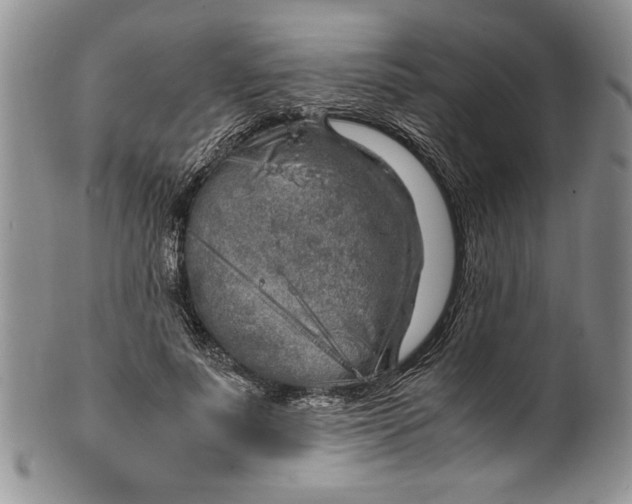 X0000099930691200806131403