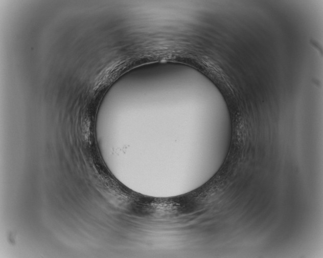 X0000099930693200806131403