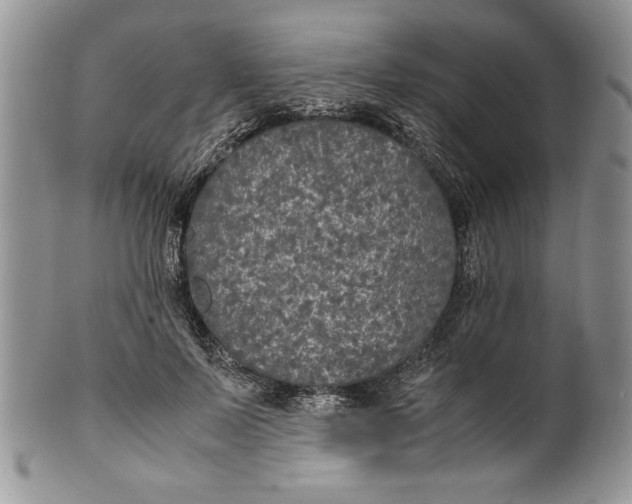 X0000099930695200806131403