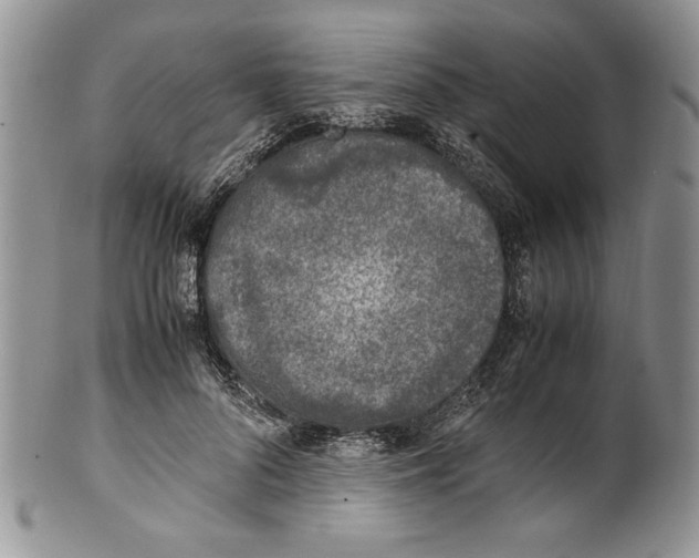 X0000099930696200806131403