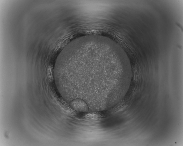 X0000099930699200806131403