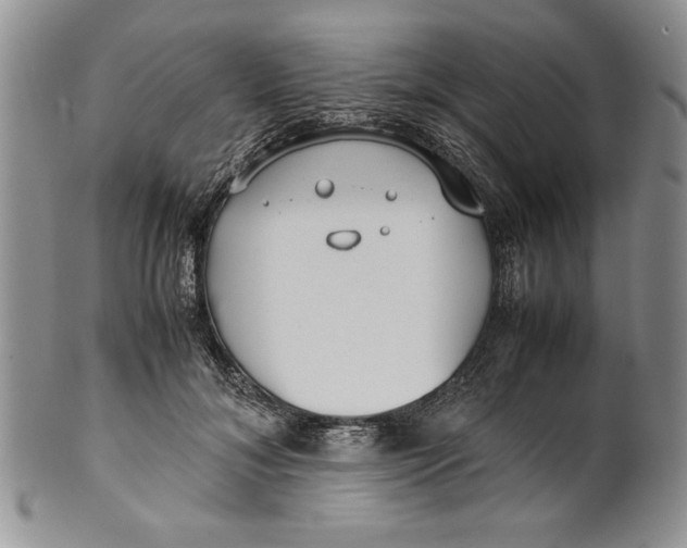 X0000099930700200806131403