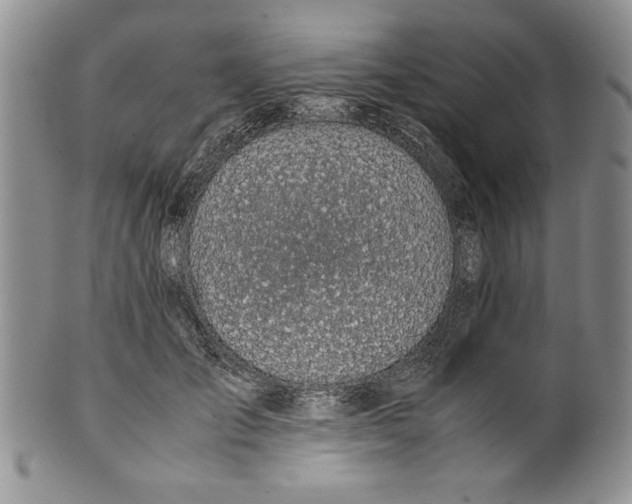 X0000099930701200806131403