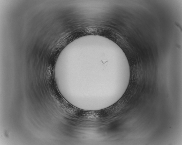 X0000099930702200806131403