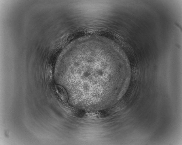 X0000099930703200806131403