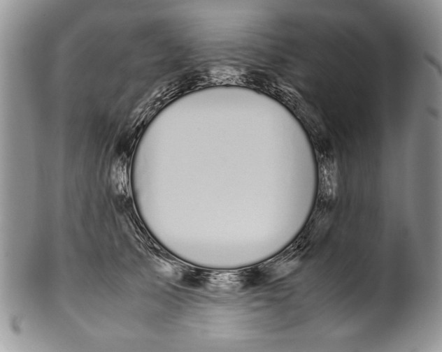 X0000099930705200806131403