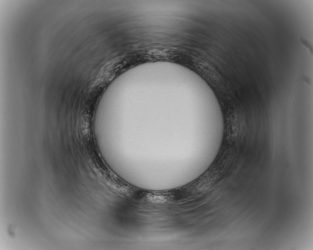 X0000099930706200806131403