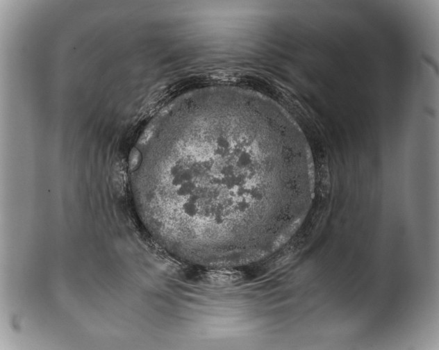 X0000099930707200806131403