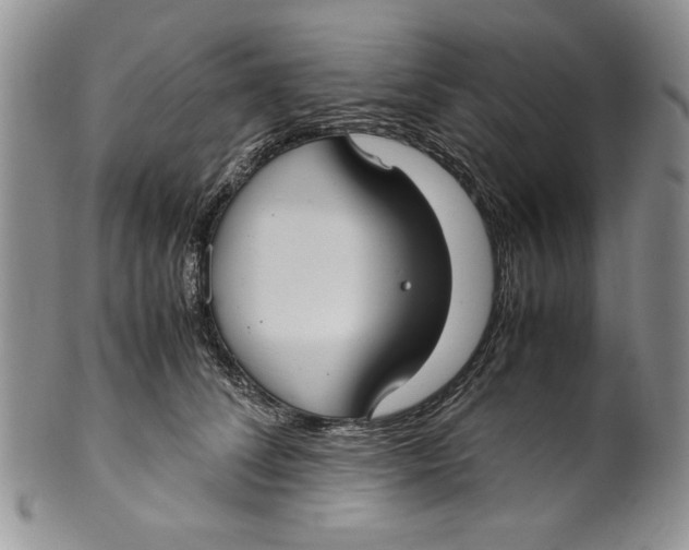 X0000099930708200806131403