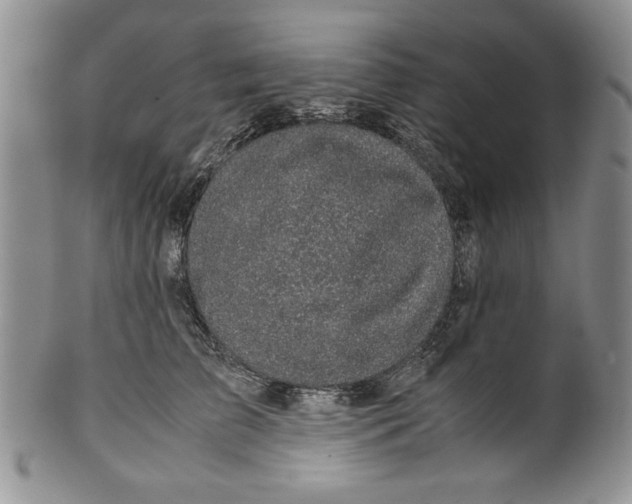 X0000099930709200806131403