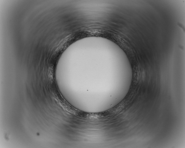 X0000099930710200806131402