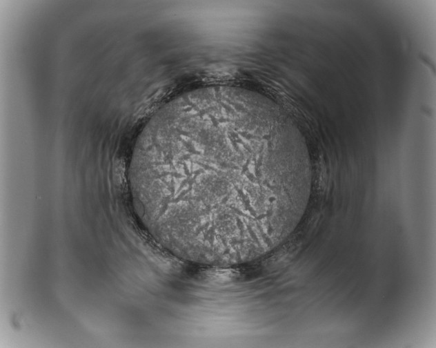 X0000099930711200806131402