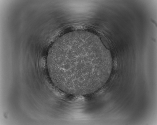 X0000099930715200806131402