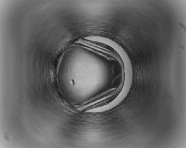 X0000099930716200806131402