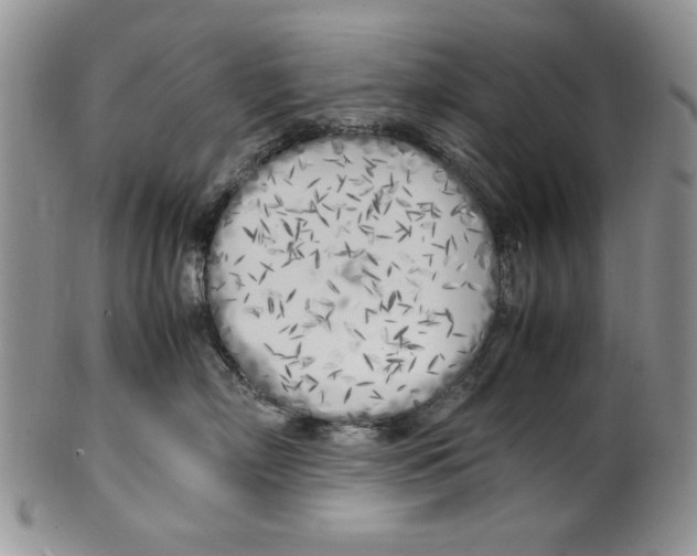 X0000099930718200806131402