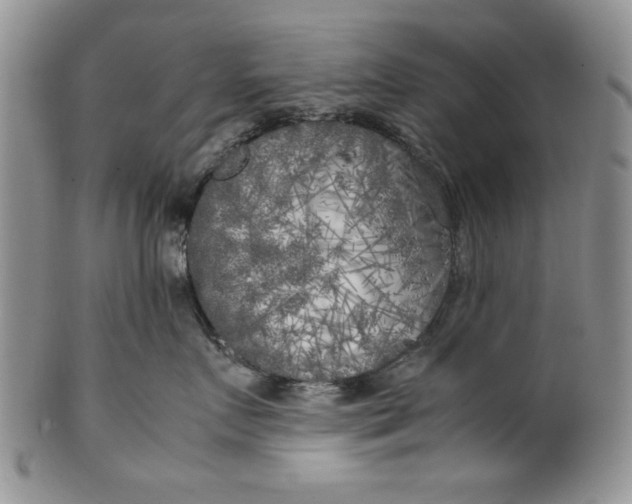 X0000099930719200806131402