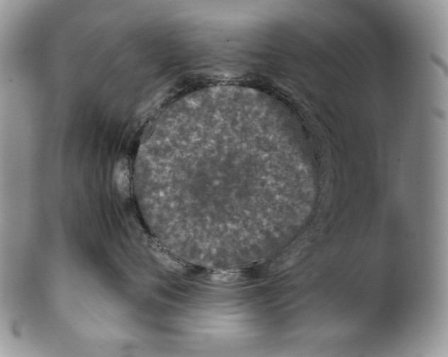 X0000099930720200806131402